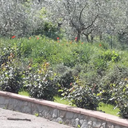 Βίλα Paola Αρέτσο