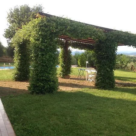 Paola 阿雷佐