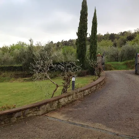 Paola 阿雷佐